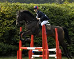 Horse and rider jumping the fence
